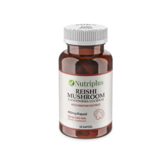 Reishi - Ganoderma Reishi - Ganoderma